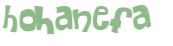 Desafio captcha