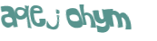 Desafio captcha