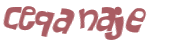 CAPTCHA-haaste