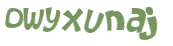 Wyzwanie captcha