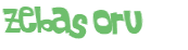 Sfida captcha