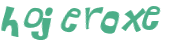 Wyzwanie captcha