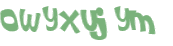 CAPTCHA 挑戰
