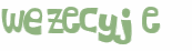 Wyzwanie captcha