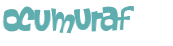 CAPTCHA 挑戰
