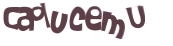 Desafio captcha