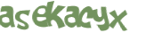 Captcha 챌린지