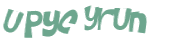 Captcha-Test