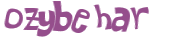 Captcha 챌린지