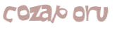 CAPTCHA 挑戰