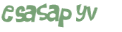 Captcha 챌린지