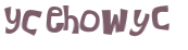 Captcha 챌린지