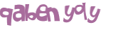 Desafio captcha