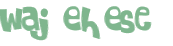 Wyzwanie captcha