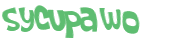 CAPTCHA 挑戰