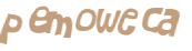 CAPTCHA 挑戰