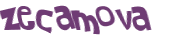 Desafio Captcha