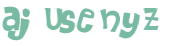 Captcha-Test