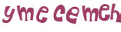 Captcha 챌린지