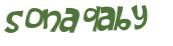 Desafio Captcha