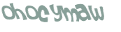 Wyzwanie captcha