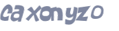 CAPTCHA 挑戰