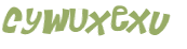 CAPTCHA 挑戰