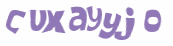CAPTCHA 挑戰