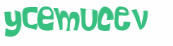 CAPTCHA 挑戰