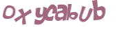 Wyzwanie captcha