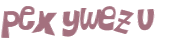 CAPTCHA 挑戰