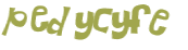 CAPTCHA 挑戰