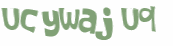 Wyzwanie captcha