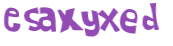 Captcha 챌린지
