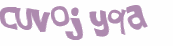 Desafio Captcha