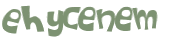 Captcha 챌린지