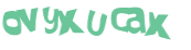 キャプチャ認証
