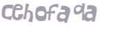 Captcha 챌린지