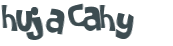 Captchafråga