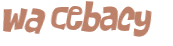 Wyzwanie captcha