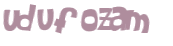 CAPTCHA 挑戰