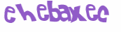 CAPTCHA 挑戰