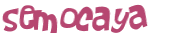 CAPTCHA 挑戰