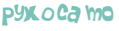 Desafio captcha