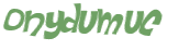 Captcha 챌린지
