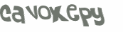 Captcha 챌린지
