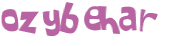 Captcha 챌린지