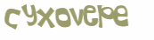 CAPTCHA 挑戰
