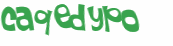 CAPTCHA 挑戰