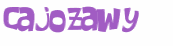 Desafio Captcha